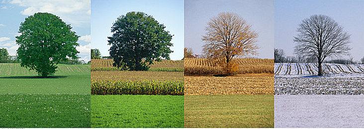 《使命召唤 战区2.0》在哪下载、预下载方法以及配置要求消息一览