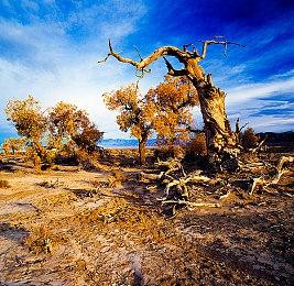驾驶战车碾灭敌军 《战场的弗伽》7月29日正式发售